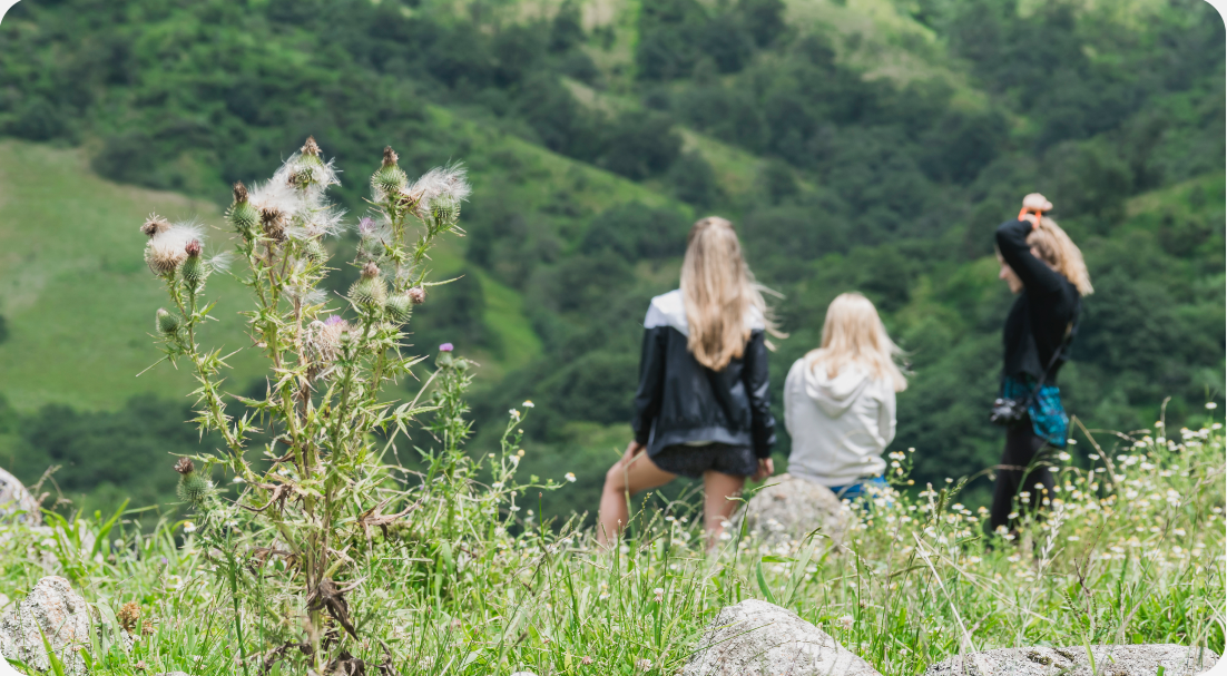 rear-view-female-friends-sitting-together-facing-green-mountain 1